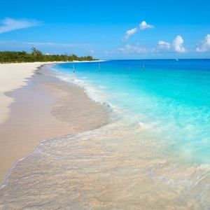 Meet your Posher, Jack